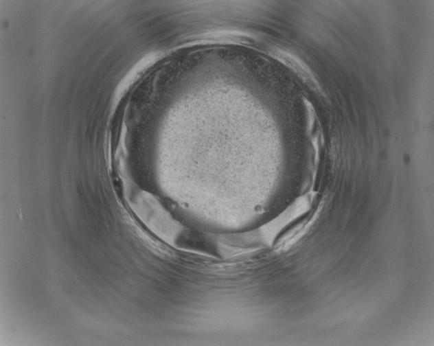 X0000069831180200606021329