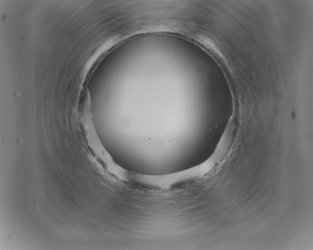 X0000069831181200606021329