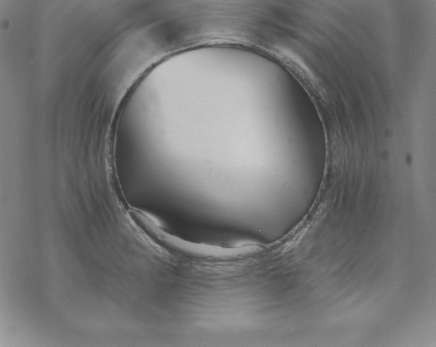 X0000069831182200606021329