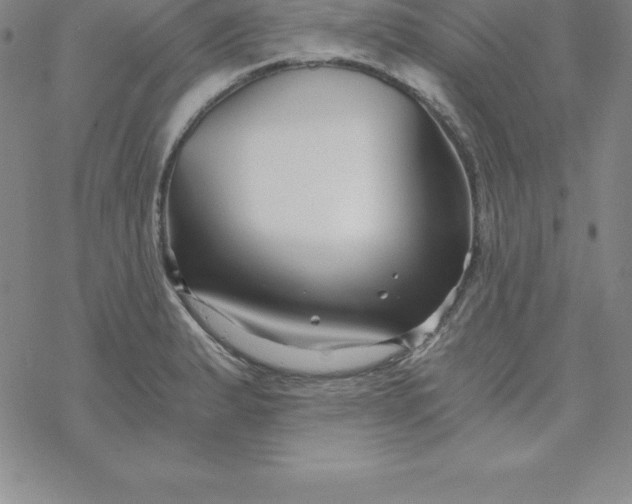 X0000069831183200606021329