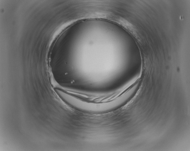 X0000069831184200606021329