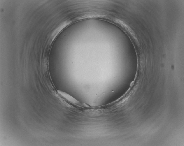 X0000069831185200606021329