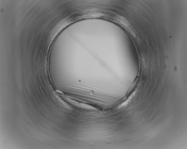 X0000069831186200606021329