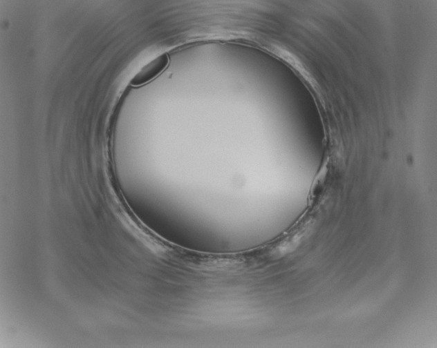 X0000069831187200606021329