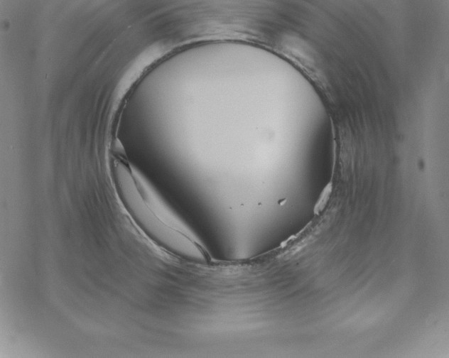 X0000069831188200606021329