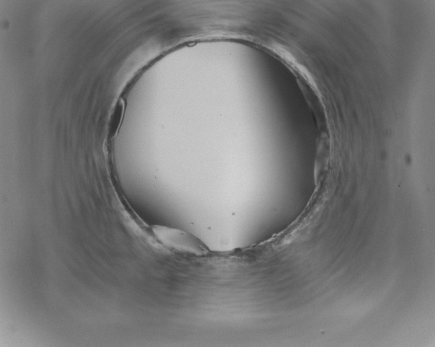 X0000069831189200606021329