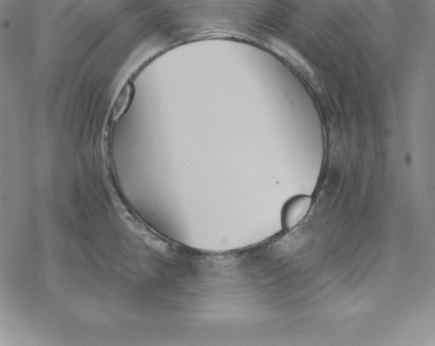 X0000069831190200606021329