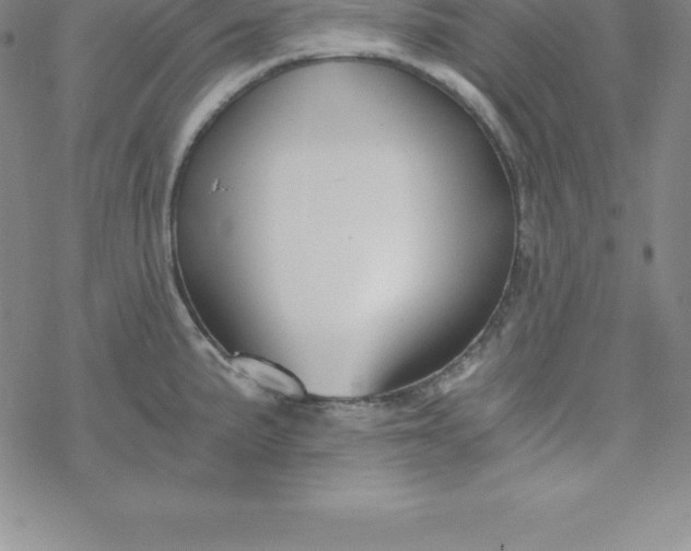 X0000069831191200606021329