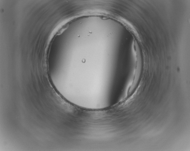 X0000069831192200606021329