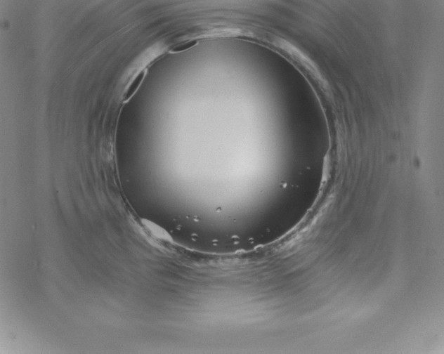 X0000069831193200606021329