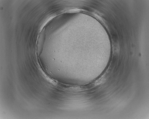 X0000069831194200606021329