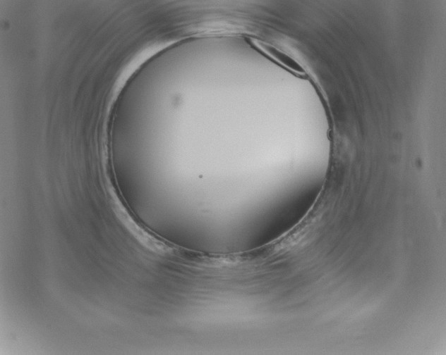 X0000069831195200606021329