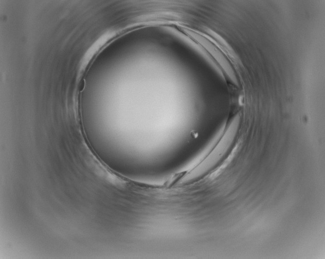 X0000069831196200606021329