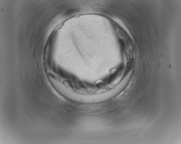 X0000069831197200606021328