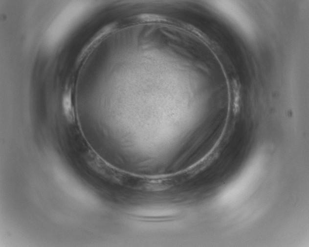 X0000069831198200606021328