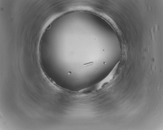 X0000069831199200606021328