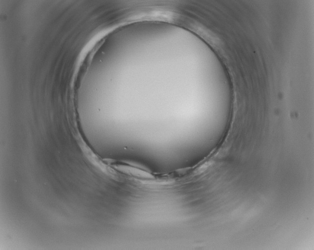 X0000069831200200606021328