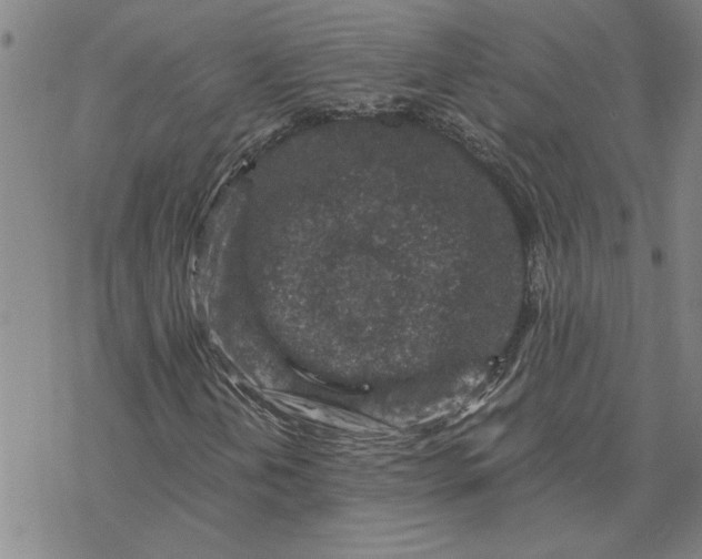 X0000069831202200606021328