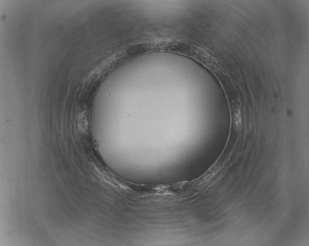 X0000069831204200606021328