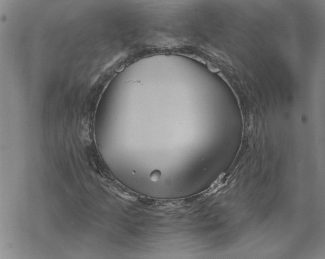 X0000069831205200606021328