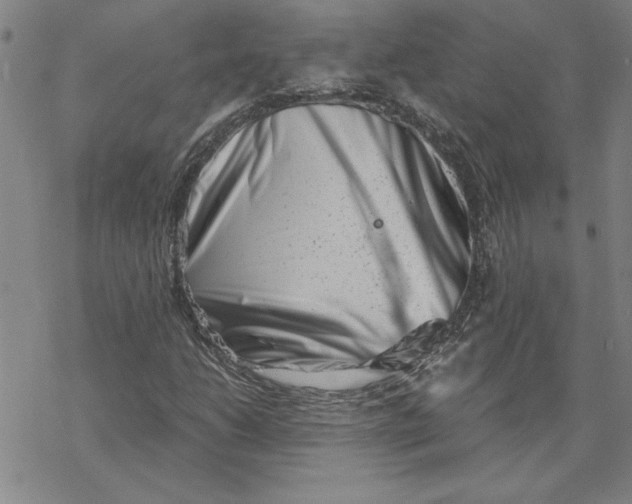 X0000069831206200606021328