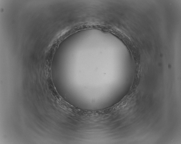 X0000069831207200606021328