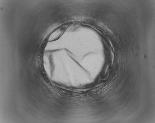 X0000069831208200606021328