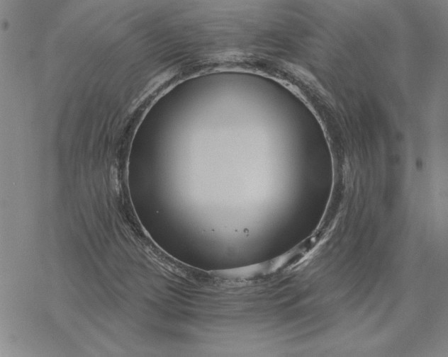 X0000069831209200606021328