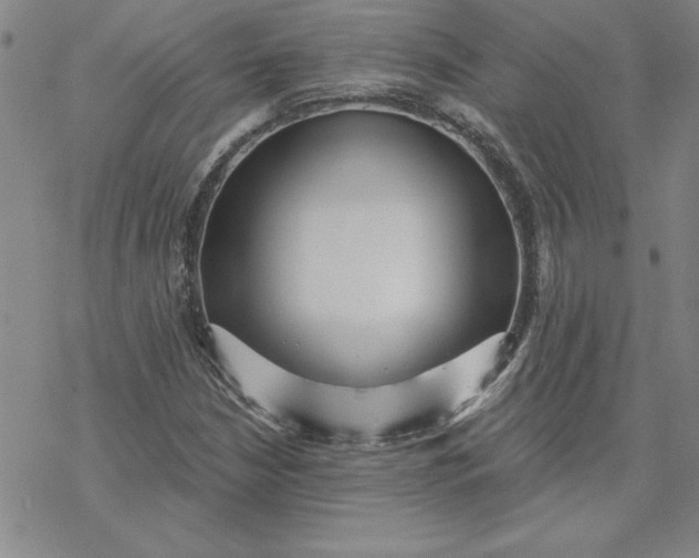 X0000069831210200606021328