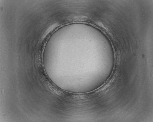 X0000069831211200606021328