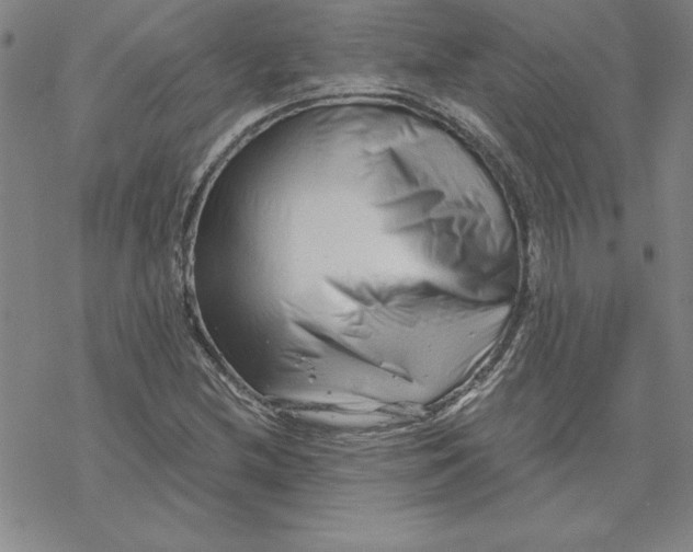 X0000069831212200606021328