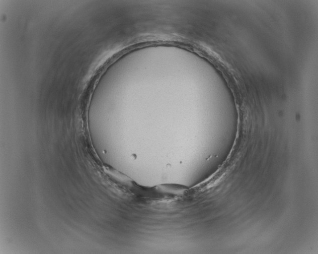 X0000069831215200606021328