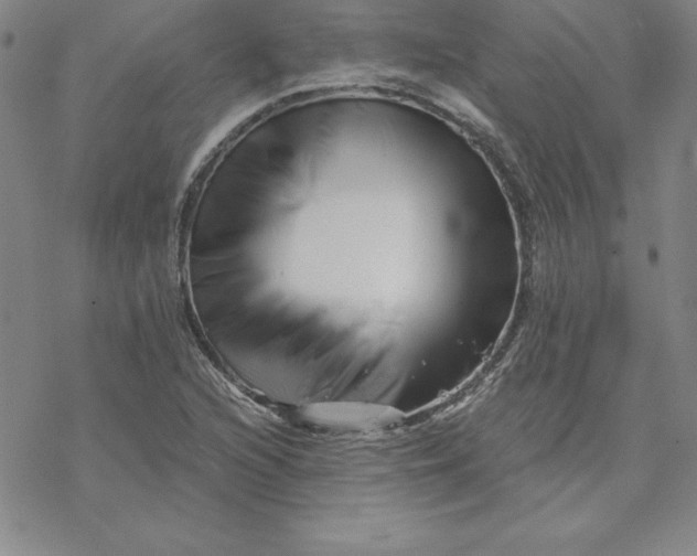 X0000069831216200606021328