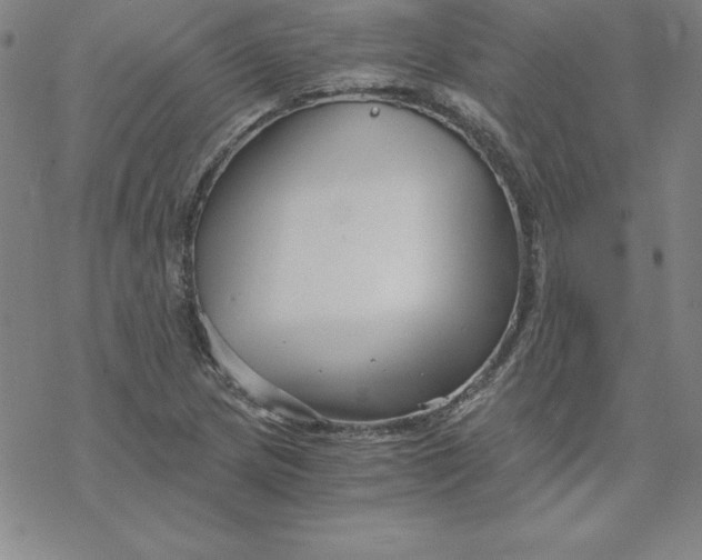 X0000069831217200606021328