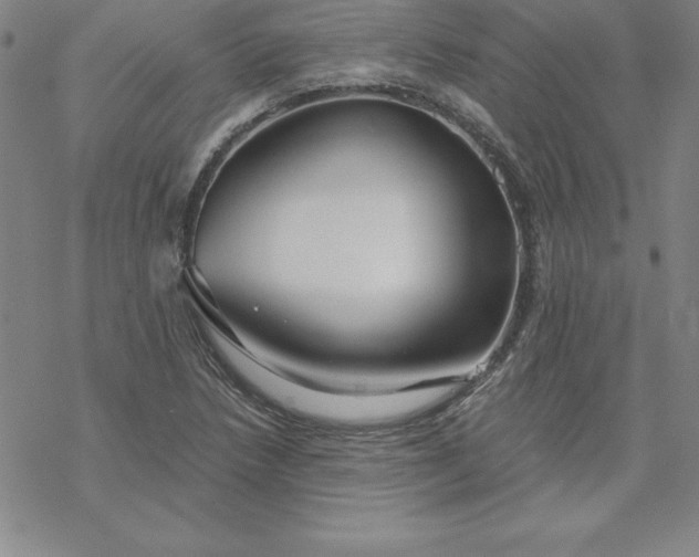 X0000069831218200606021328