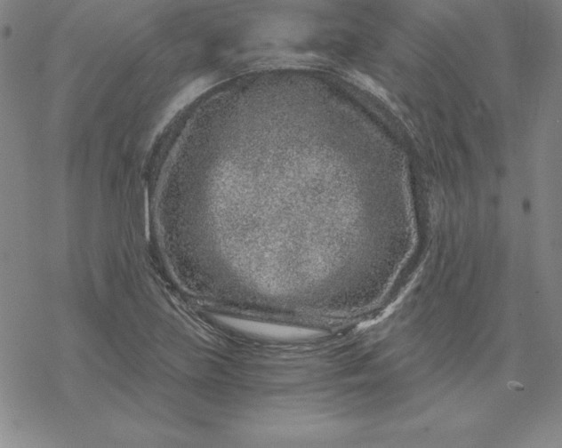 X0000069831219200606021328