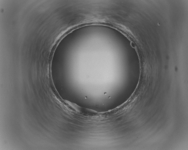 X0000069831220200606021328