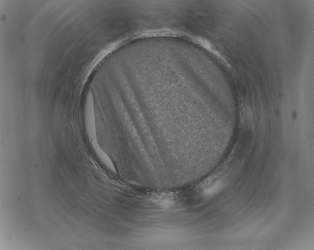 X0000069831221200606021328