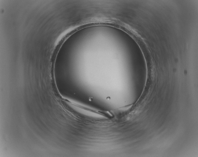 X0000069831222200606021328