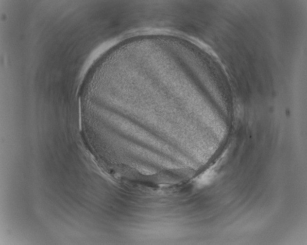 X0000069831223200606021328