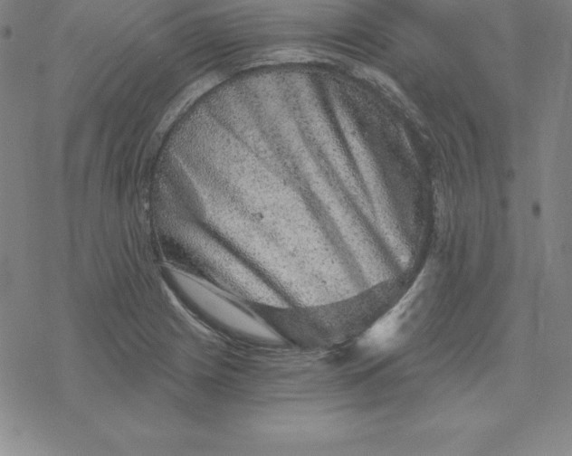 X0000069831225200606021328