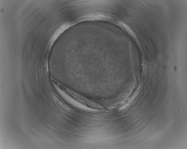 X0000069831226200606021328