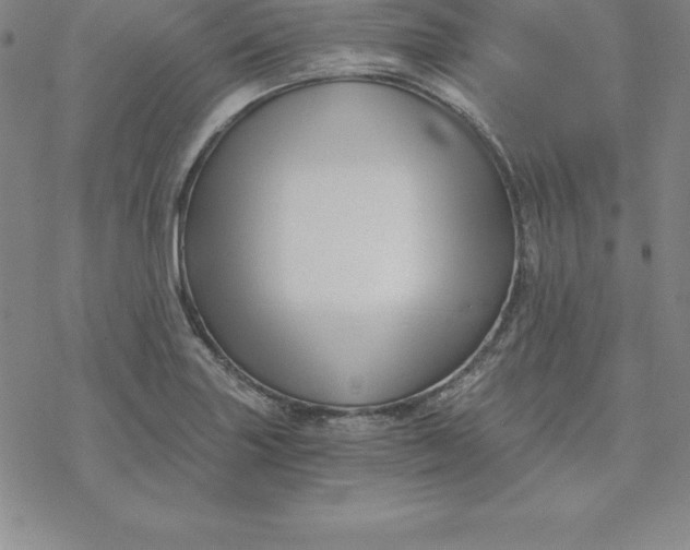 X0000069831227200606021328