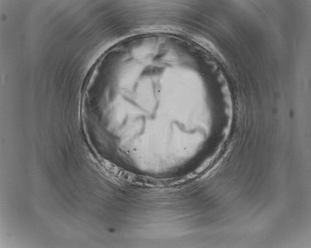 X0000069831228200606021328