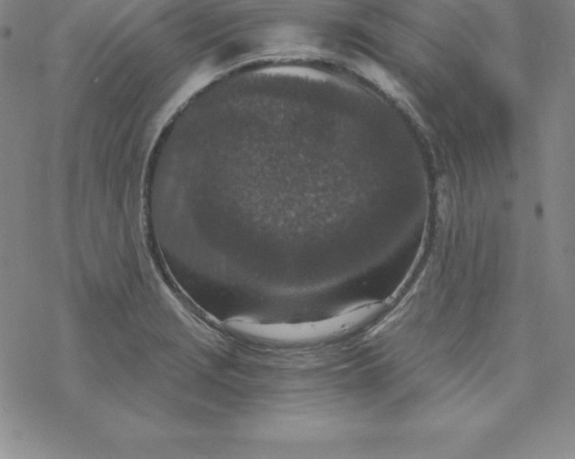 X0000069831229200606021328