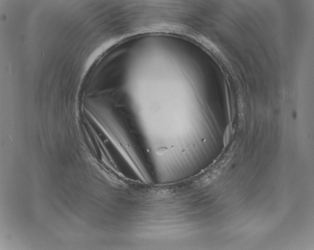 X0000069831230200606021328