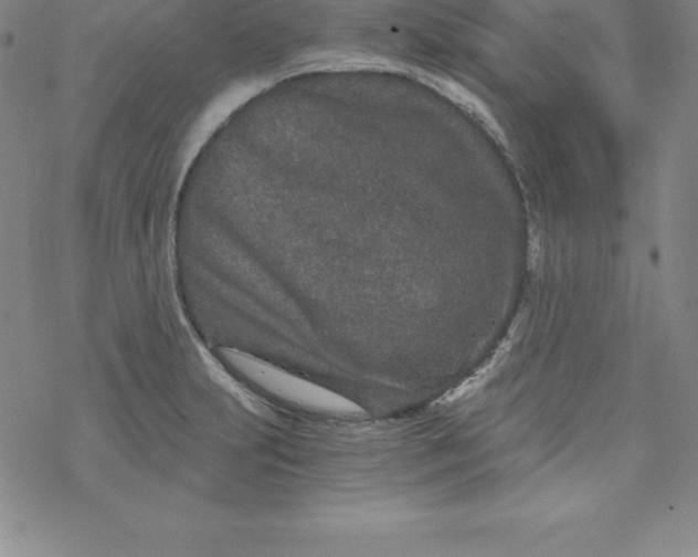 X0000069831231200606021328