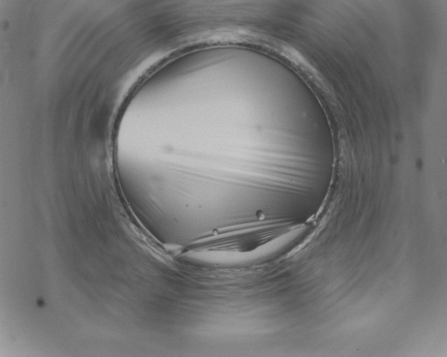 X0000069831232200606021328