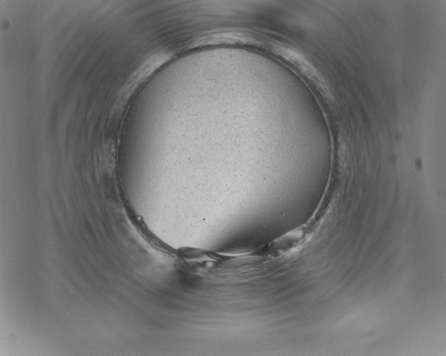 X0000069831233200606021328