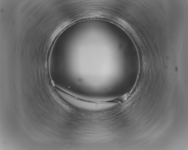 X0000069831234200606021328